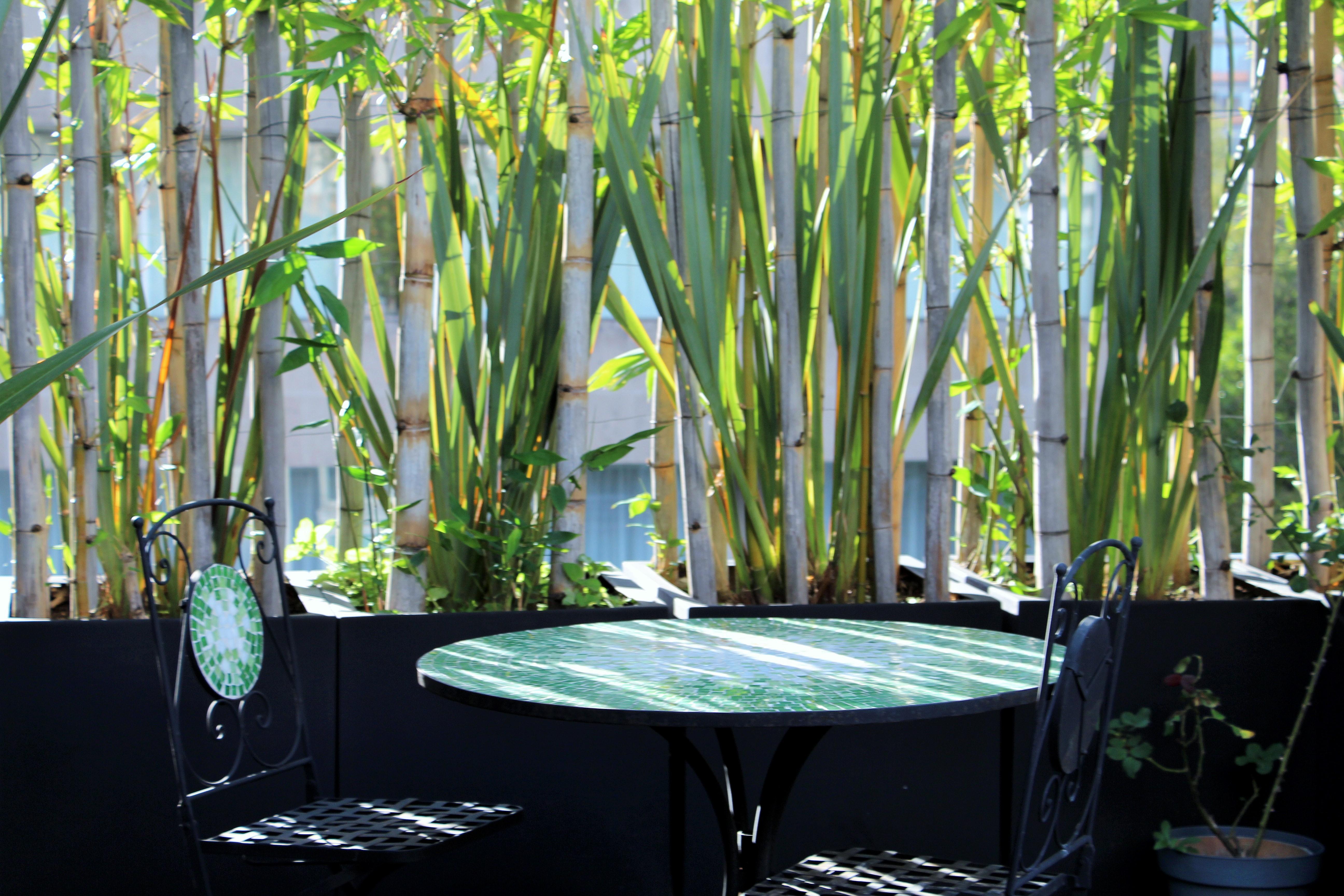 Residence L' Heritage Hipolito Taine By Bluebay Mexico City Exteriör bild